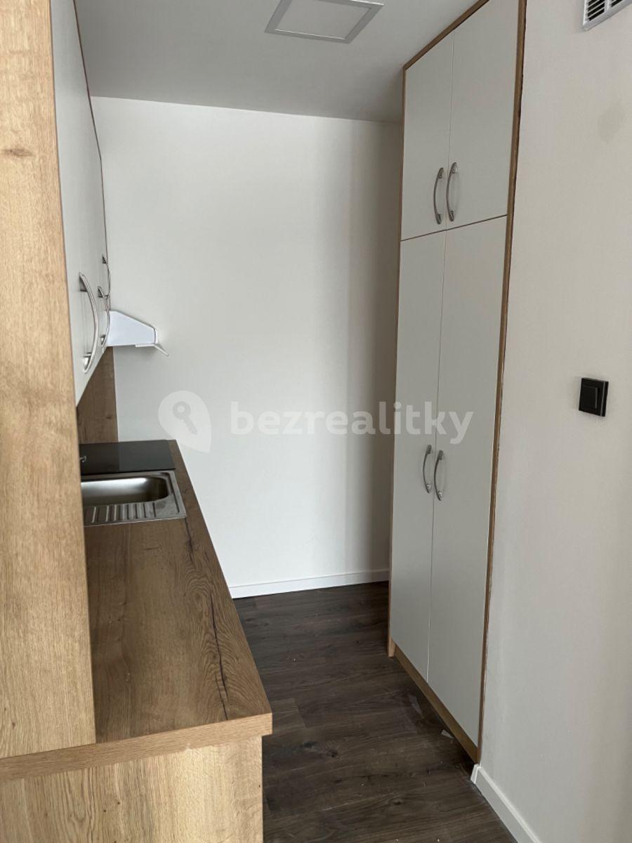 1 bedroom with open-plan kitchen flat to rent, 52 m², Plickova, Prague, Prague