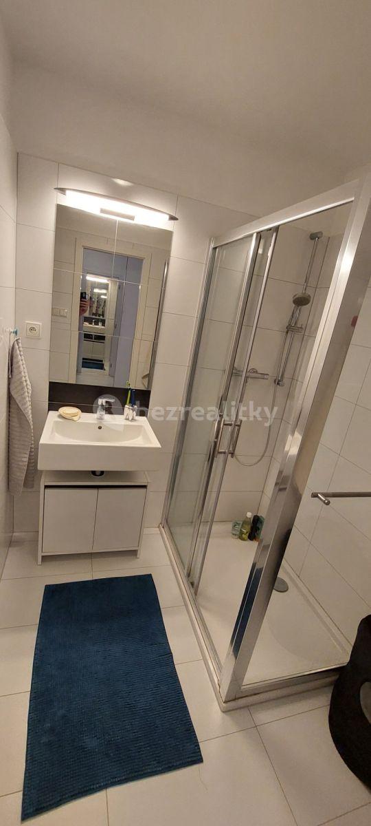 1 bedroom with open-plan kitchen flat to rent, 60 m², Přadlácká, Brno, Jihomoravský Region