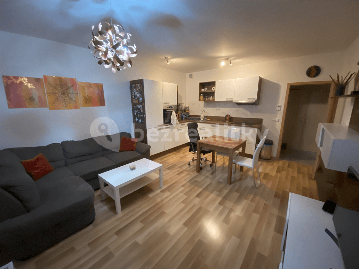 1 bedroom with open-plan kitchen flat to rent, 56 m², Oty Bubeníčka, Prague, Prague