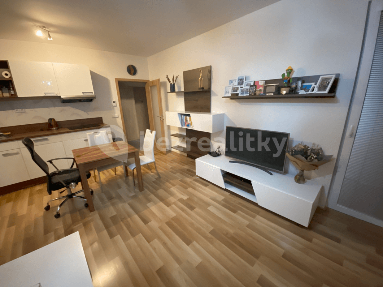 1 bedroom with open-plan kitchen flat to rent, 56 m², Oty Bubeníčka, Prague, Prague