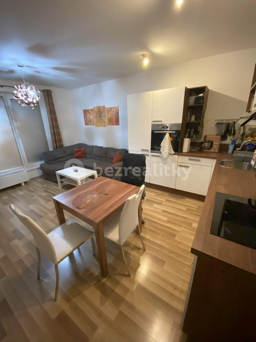 1 bedroom with open-plan kitchen flat to rent, 56 m², Oty Bubeníčka, Prague, Prague