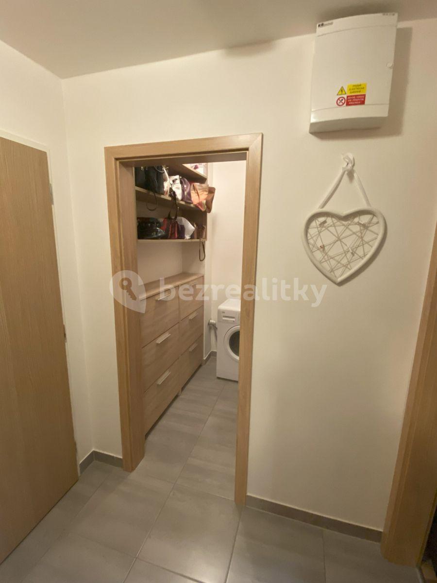 1 bedroom with open-plan kitchen flat to rent, 56 m², Oty Bubeníčka, Prague, Prague