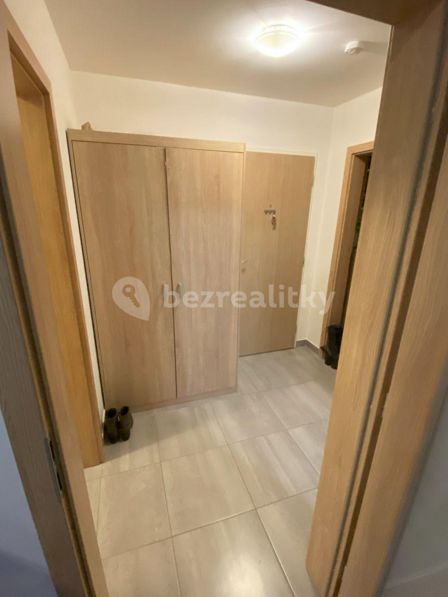 1 bedroom with open-plan kitchen flat to rent, 56 m², Oty Bubeníčka, Prague, Prague