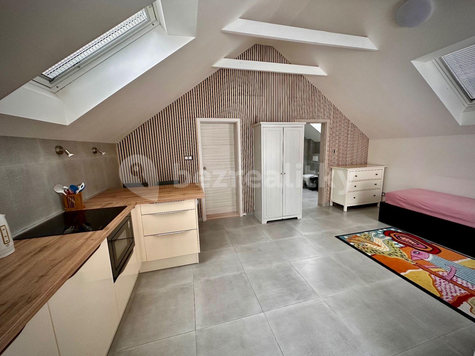 Studio flat to rent, 22 m², Boseň, Středočeský Region