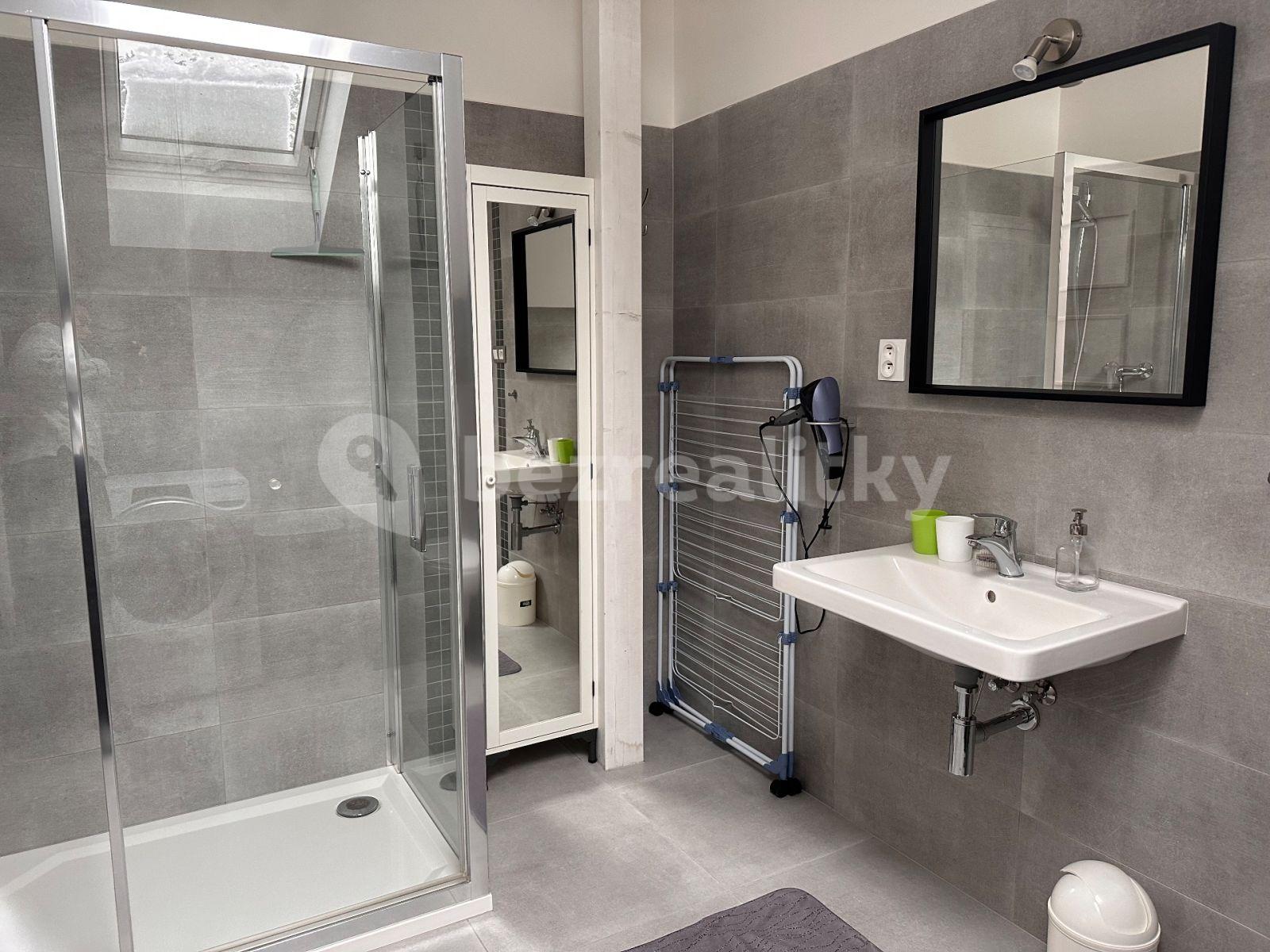 Studio flat to rent, 22 m², Boseň, Středočeský Region