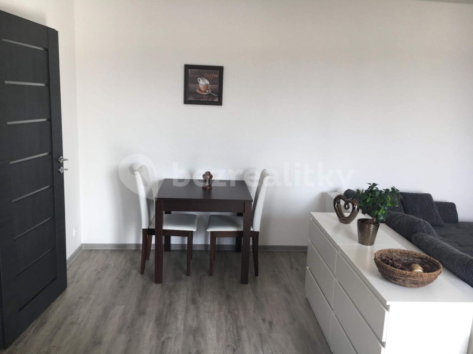 1 bedroom with open-plan kitchen flat to rent, 59 m², Troubská, Brno, Jihomoravský Region