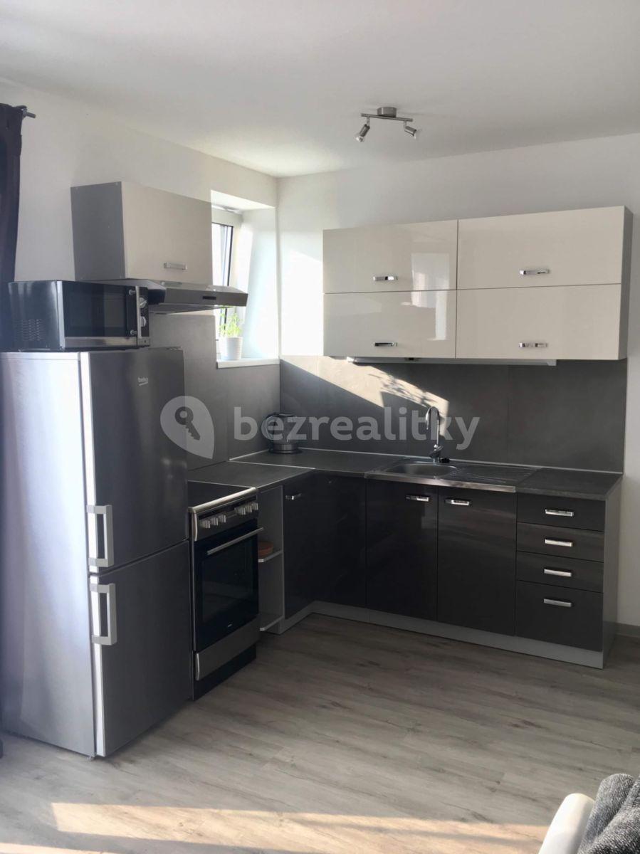 1 bedroom with open-plan kitchen flat to rent, 59 m², Troubská, Brno, Jihomoravský Region