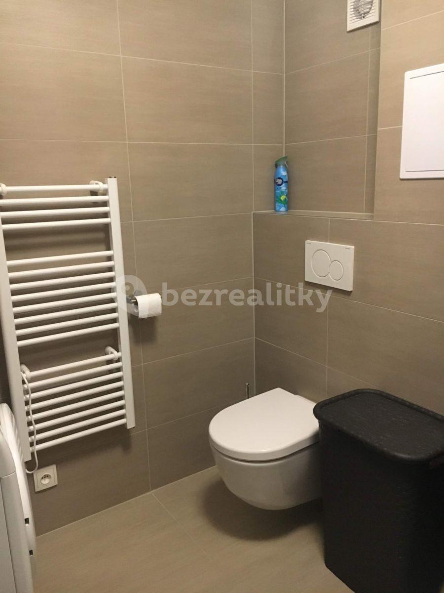 1 bedroom with open-plan kitchen flat to rent, 59 m², Troubská, Brno, Jihomoravský Region