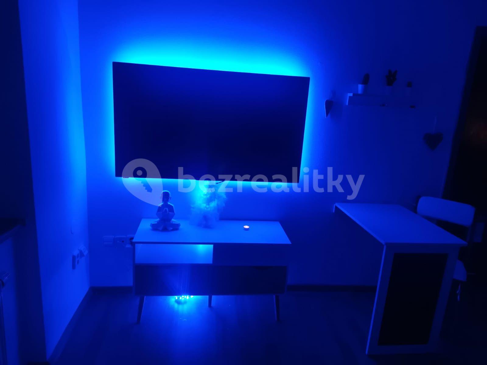 1 bedroom with open-plan kitchen flat to rent, 40 m², Svatoplukova, Brno, Jihomoravský Region