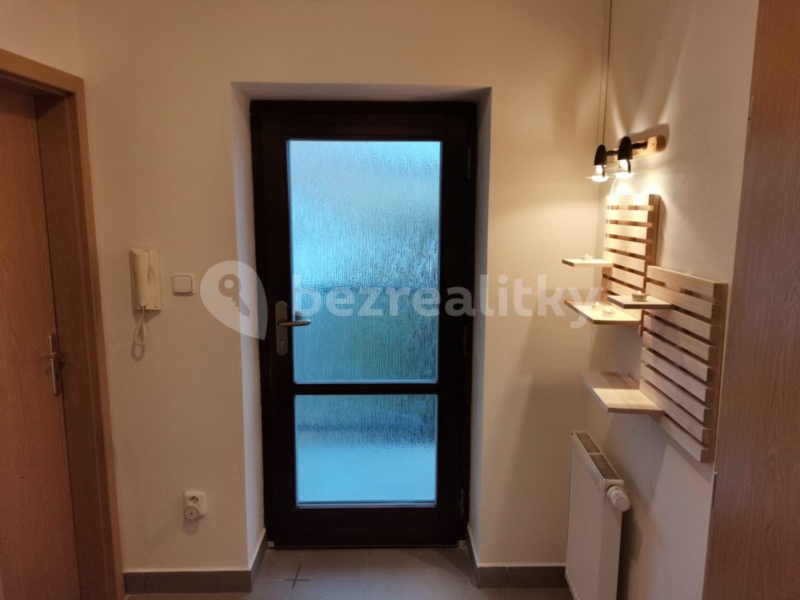 1 bedroom with open-plan kitchen flat to rent, 40 m², Svatoplukova, Brno, Jihomoravský Region