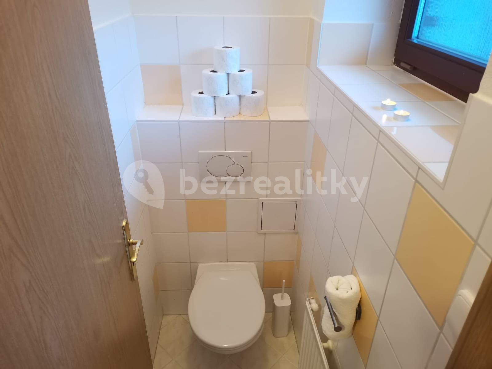 1 bedroom with open-plan kitchen flat to rent, 40 m², Svatoplukova, Brno, Jihomoravský Region