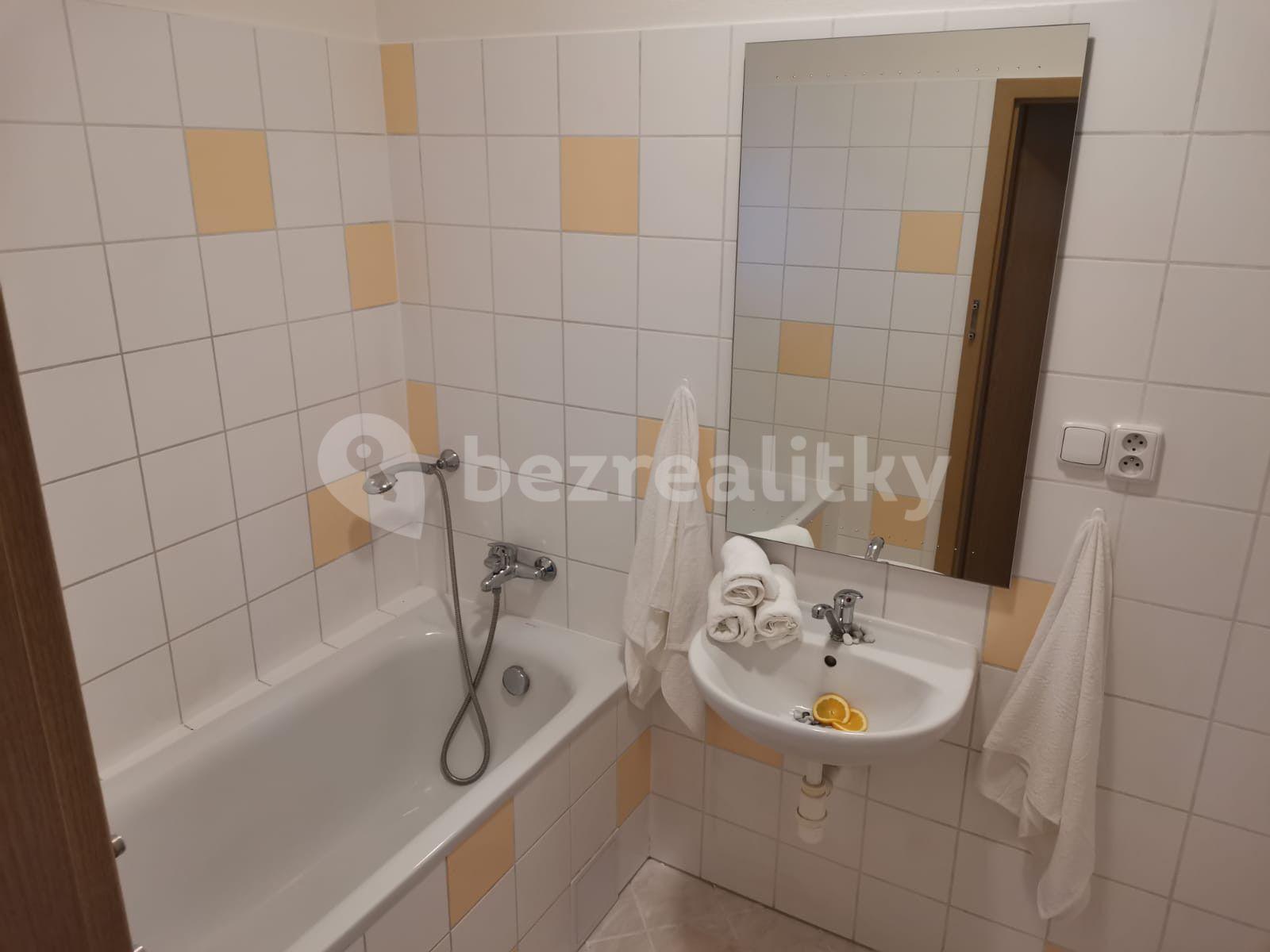 1 bedroom with open-plan kitchen flat to rent, 40 m², Svatoplukova, Brno, Jihomoravský Region