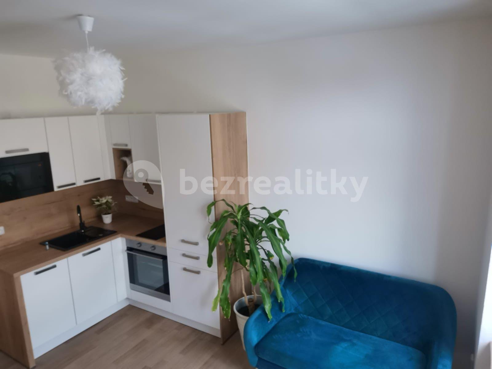 1 bedroom with open-plan kitchen flat to rent, 40 m², Svatoplukova, Brno, Jihomoravský Region