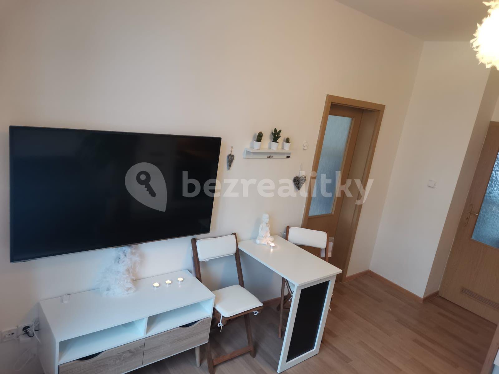 1 bedroom with open-plan kitchen flat to rent, 40 m², Svatoplukova, Brno, Jihomoravský Region