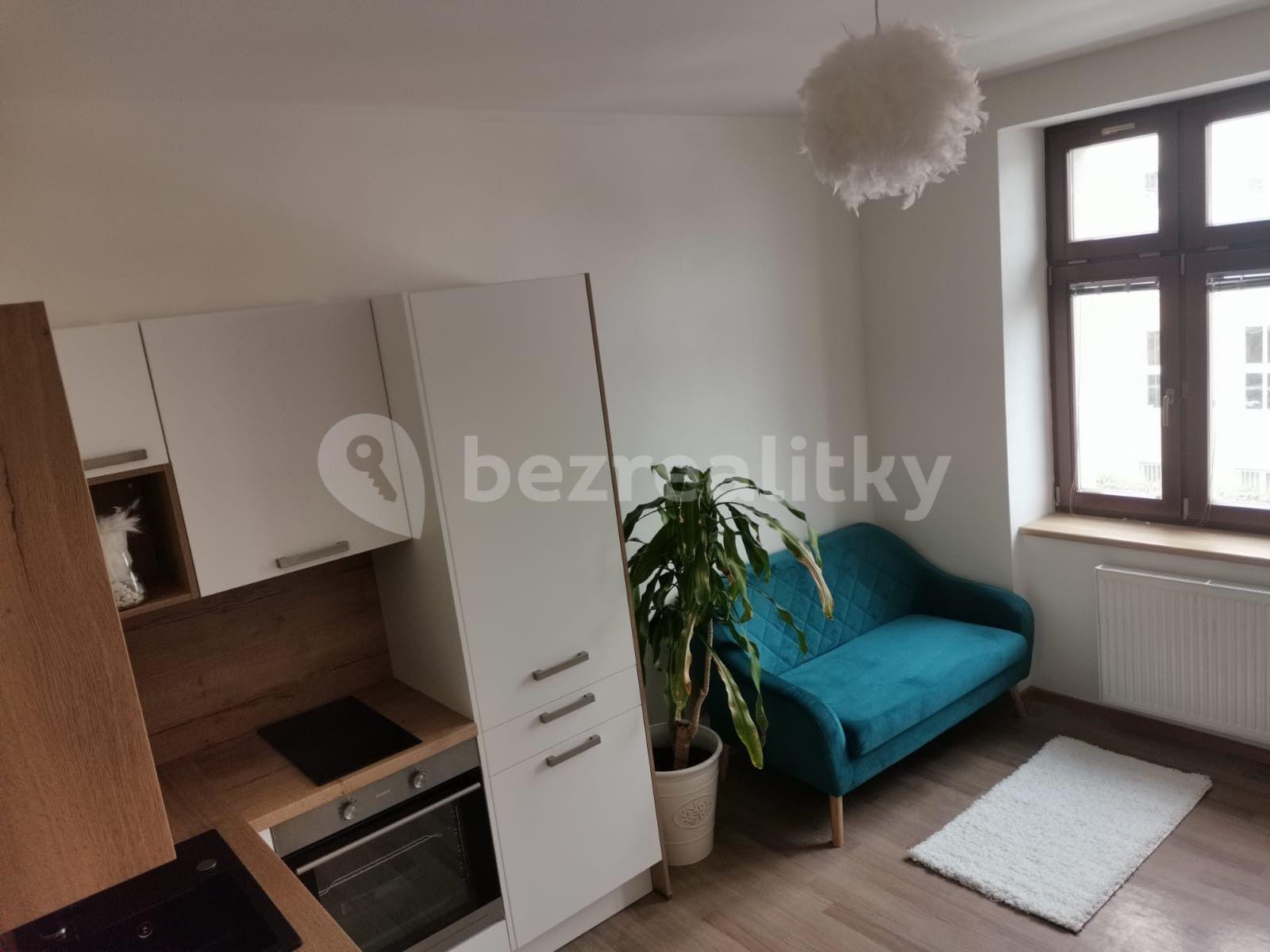 1 bedroom with open-plan kitchen flat to rent, 40 m², Svatoplukova, Brno, Jihomoravský Region