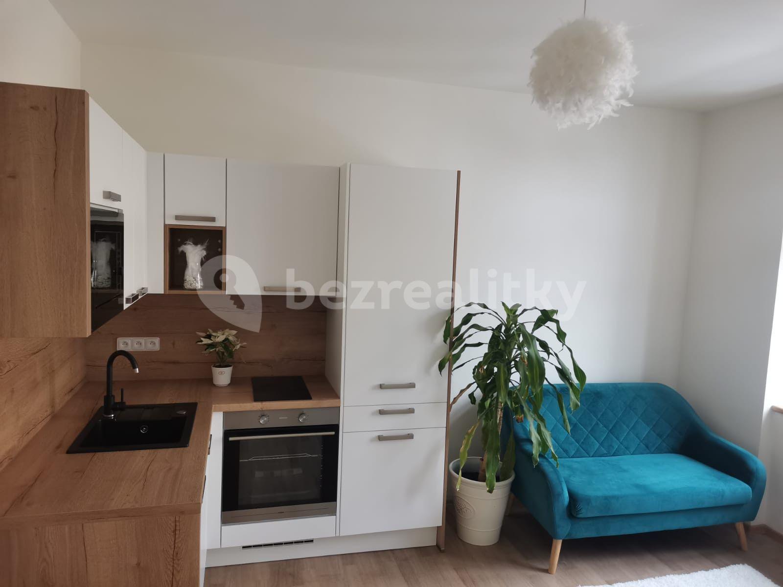 1 bedroom with open-plan kitchen flat to rent, 40 m², Svatoplukova, Brno, Jihomoravský Region