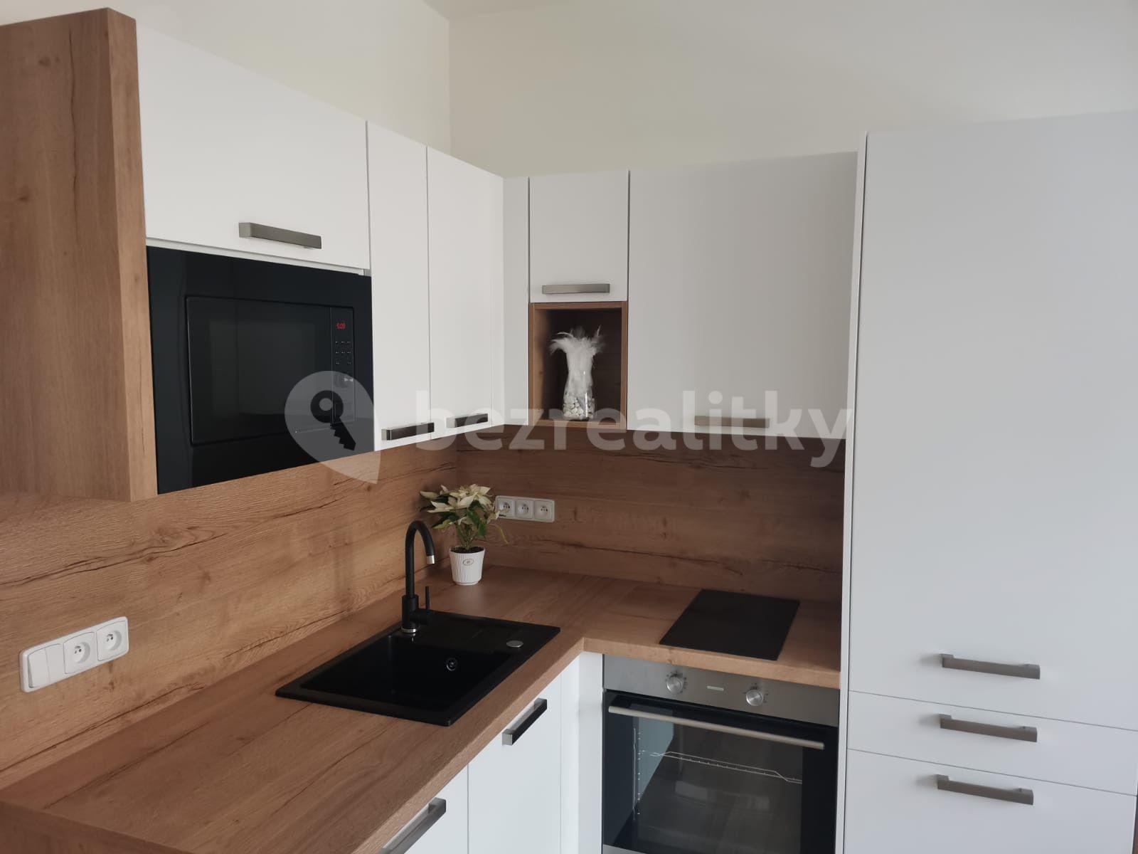 1 bedroom with open-plan kitchen flat to rent, 40 m², Svatoplukova, Brno, Jihomoravský Region