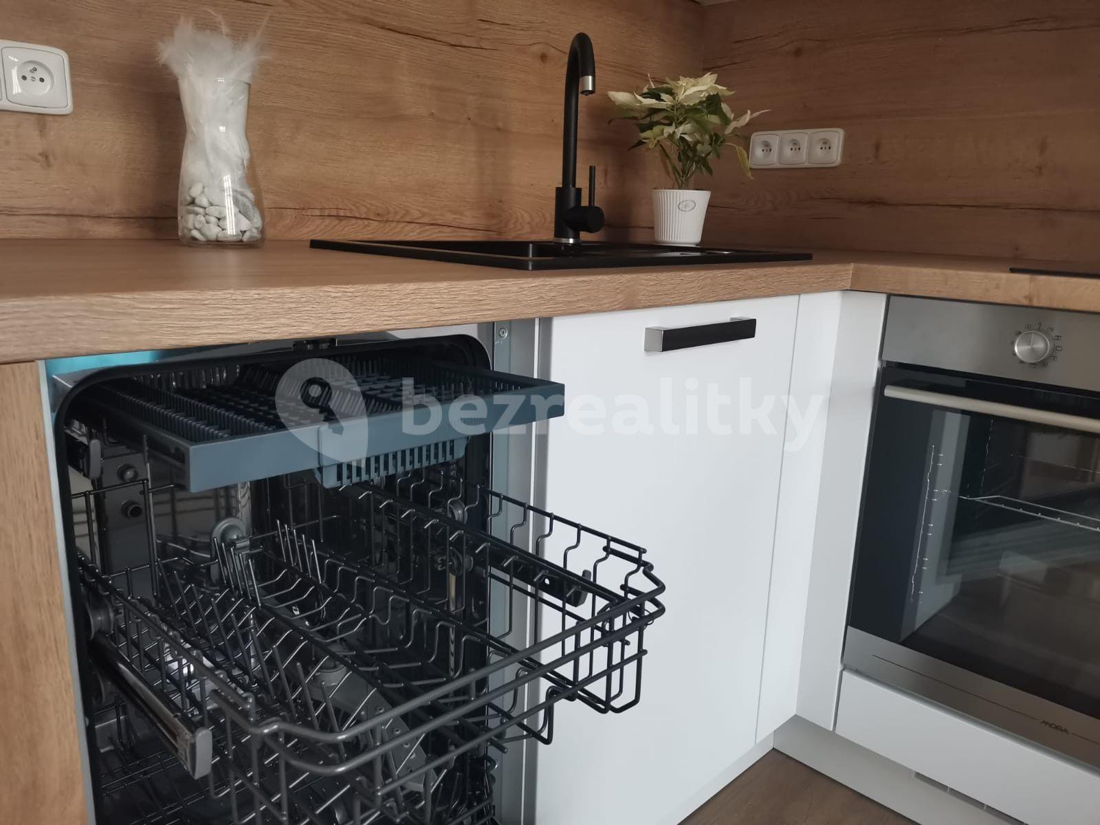 1 bedroom with open-plan kitchen flat to rent, 40 m², Svatoplukova, Brno, Jihomoravský Region