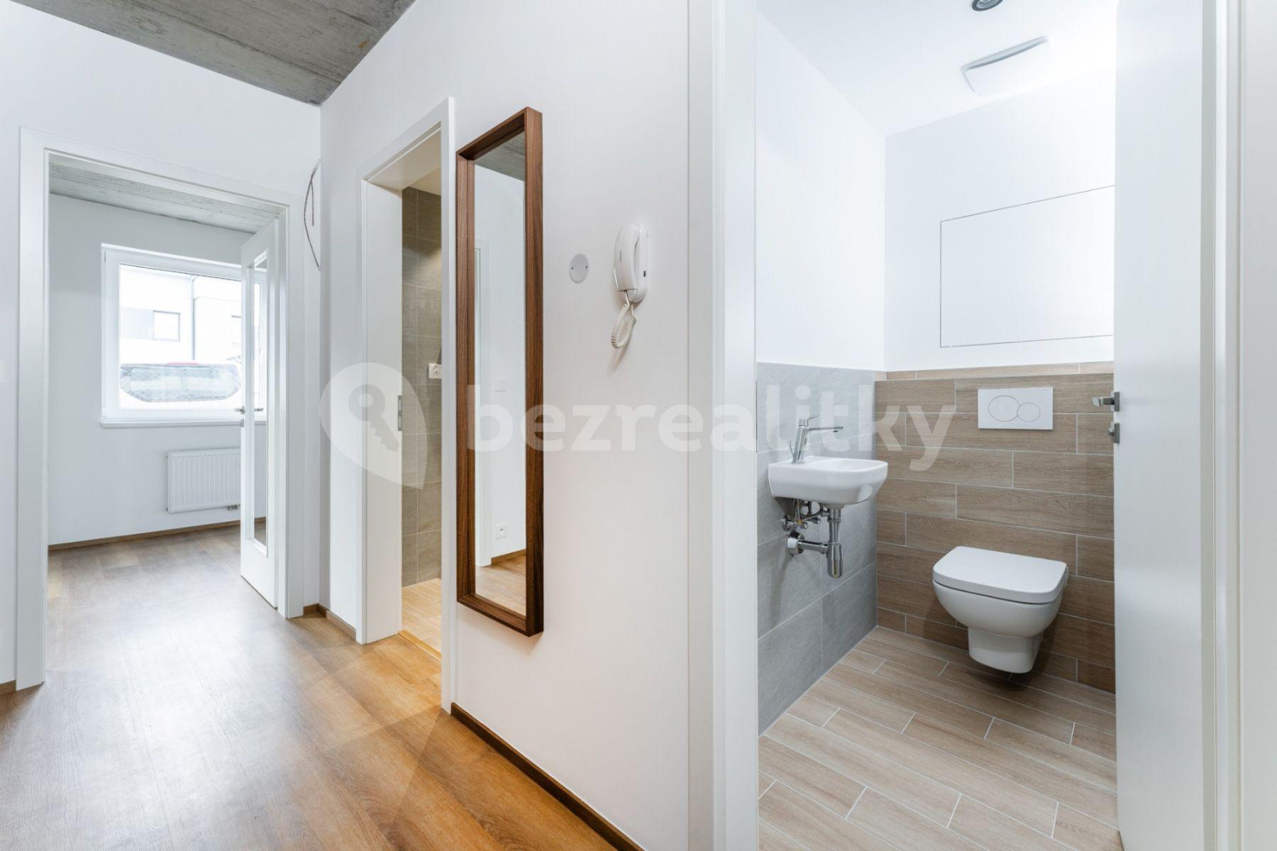 1 bedroom with open-plan kitchen flat to rent, 61 m², U Slaviborského dvora, Prague, Prague