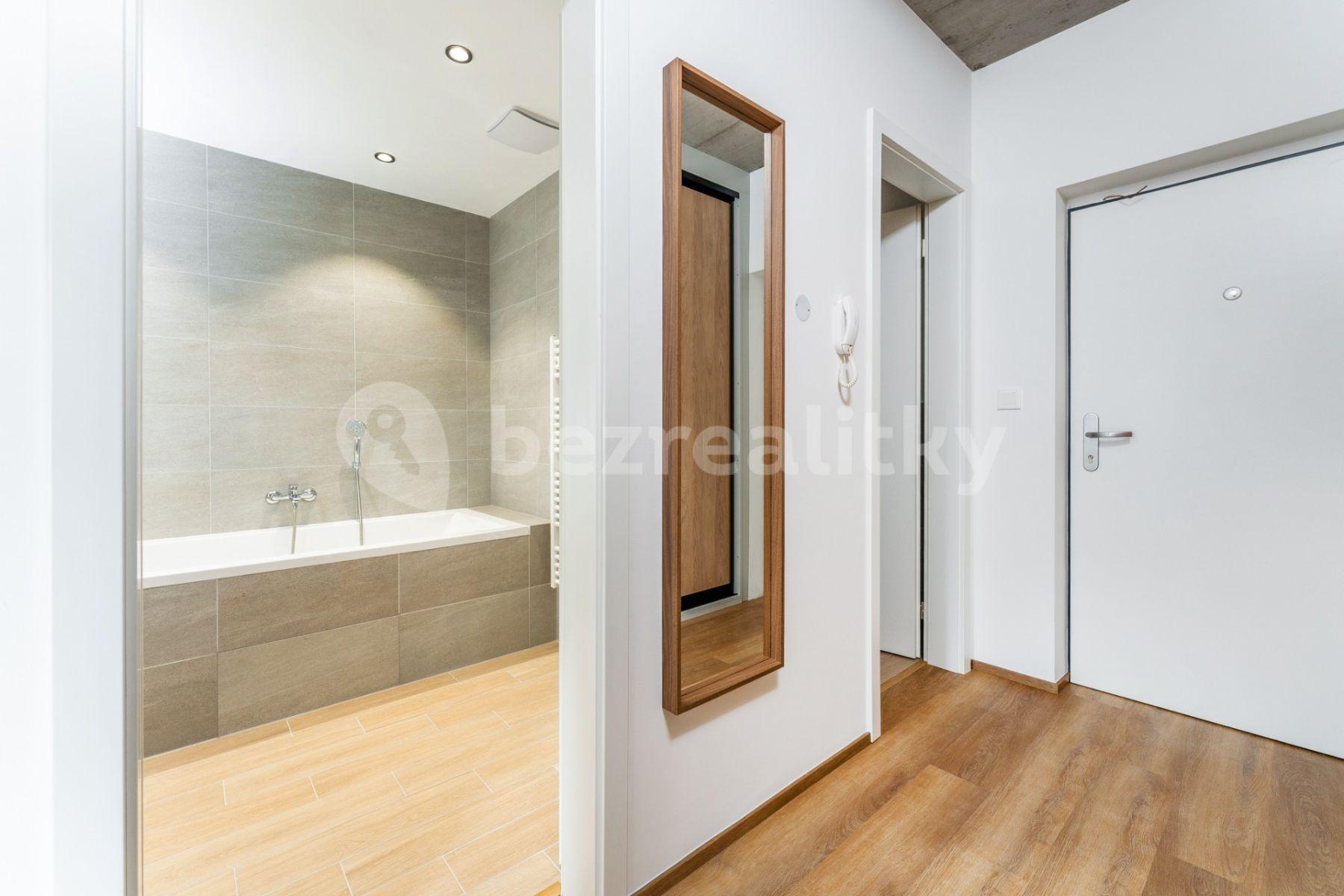 1 bedroom with open-plan kitchen flat to rent, 61 m², U Slaviborského dvora, Prague, Prague