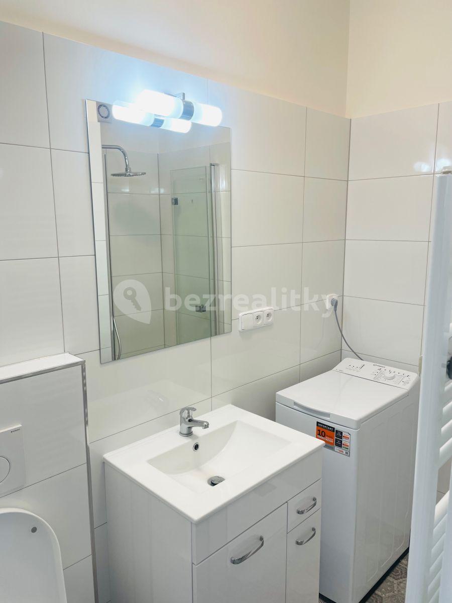 Studio flat to rent, 16 m², Újezd, Prague, Prague