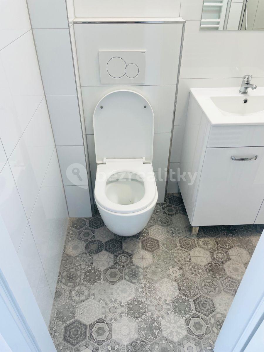 Studio flat to rent, 16 m², Újezd, Prague, Prague