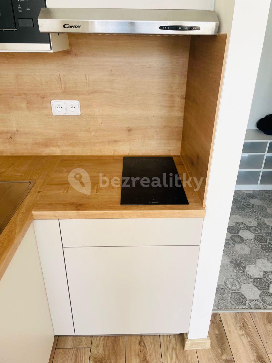 Studio flat to rent, 16 m², Újezd, Prague, Prague