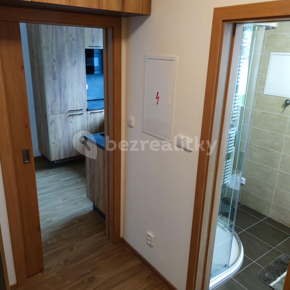 1 bedroom flat to rent, 34 m², Kařez, Plzeňský Region