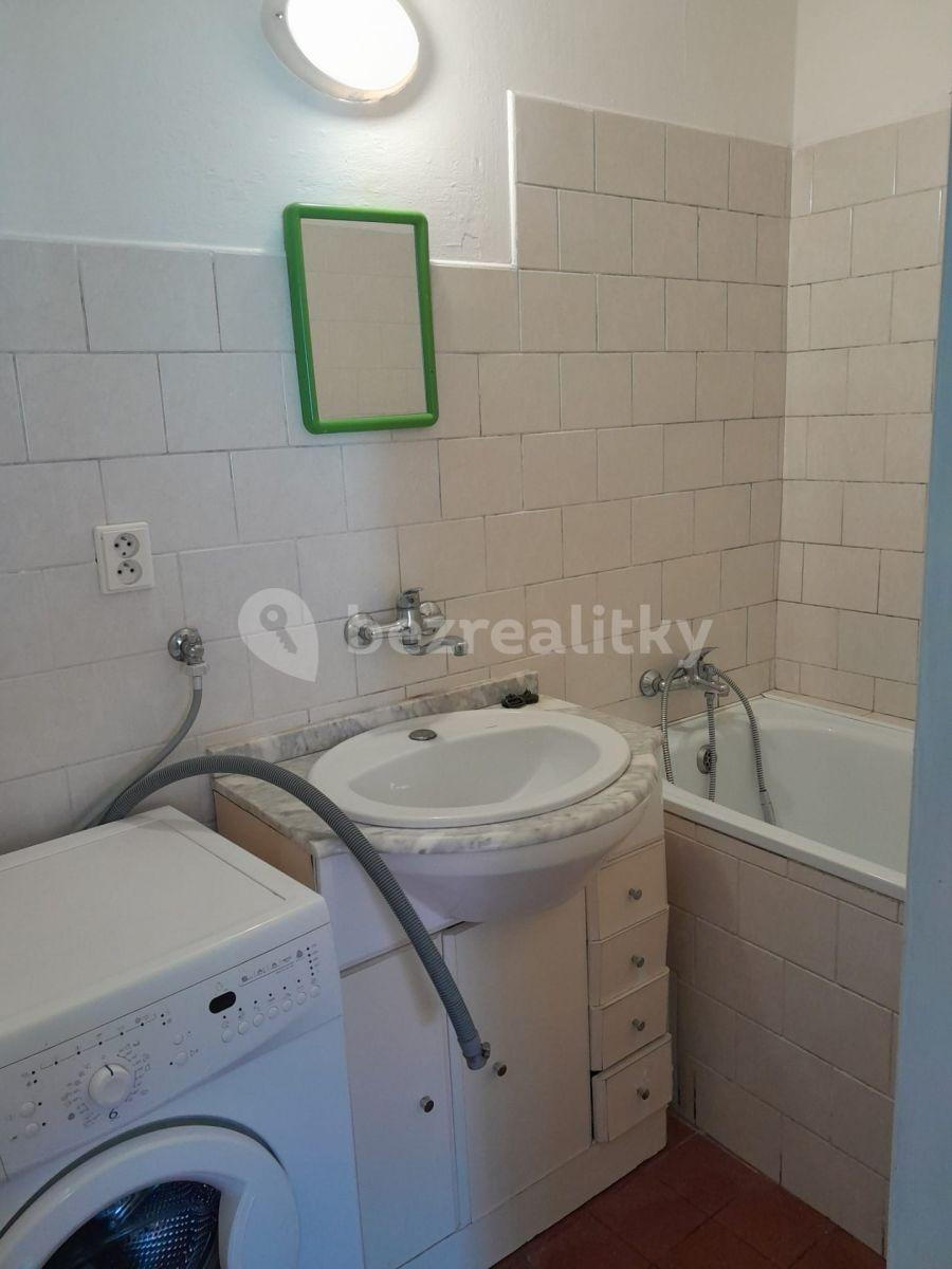 1 bedroom with open-plan kitchen flat to rent, 40 m², Trojanův mlýn, Prague, Prague