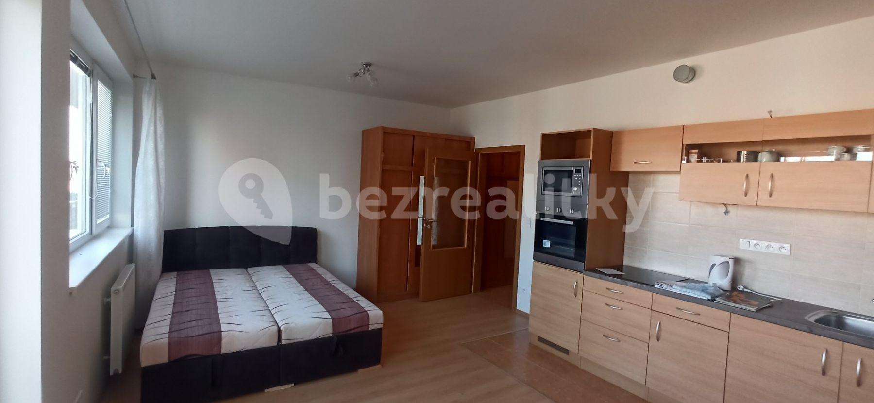 Studio flat to rent, 31 m², Farkašova, Prague, Prague