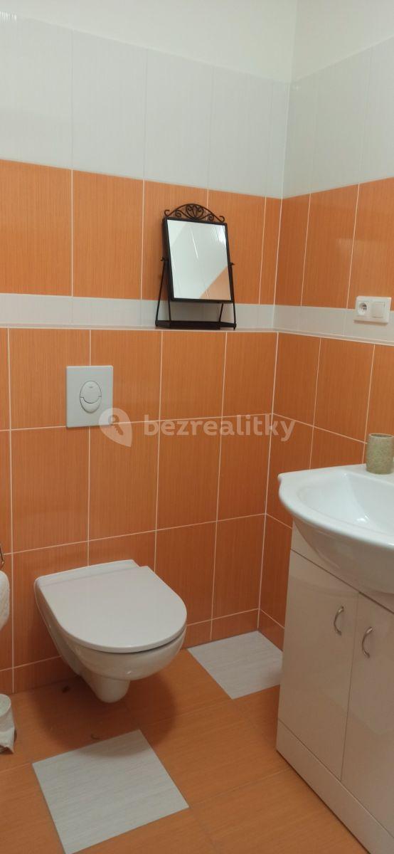 Studio flat to rent, 31 m², Farkašova, Prague, Prague