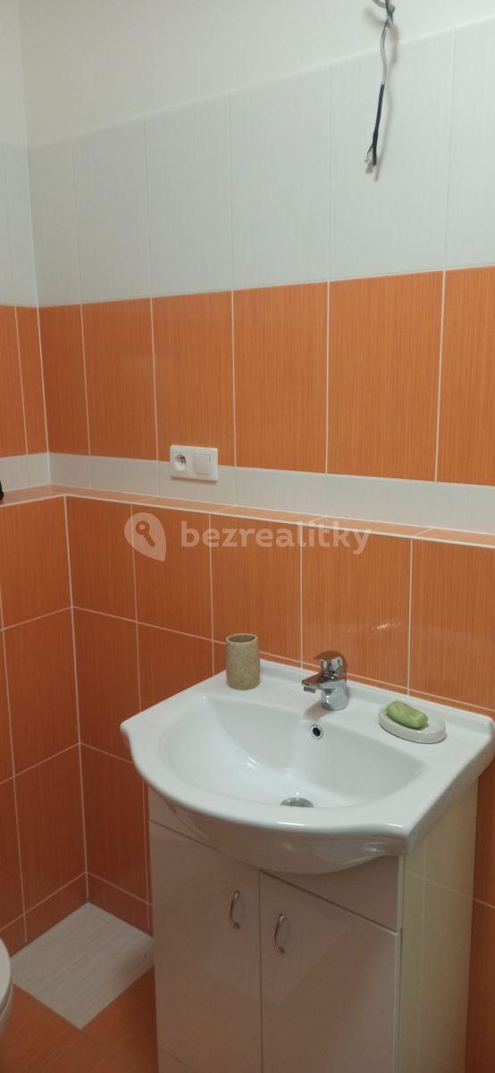 Studio flat to rent, 31 m², Farkašova, Prague, Prague