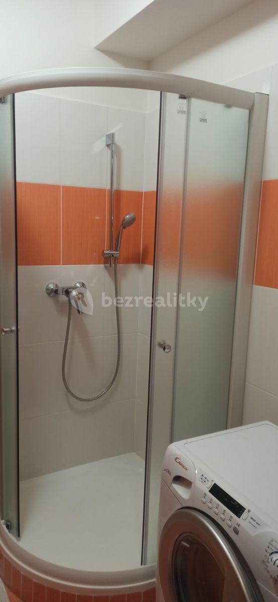 Studio flat to rent, 31 m², Farkašova, Prague, Prague