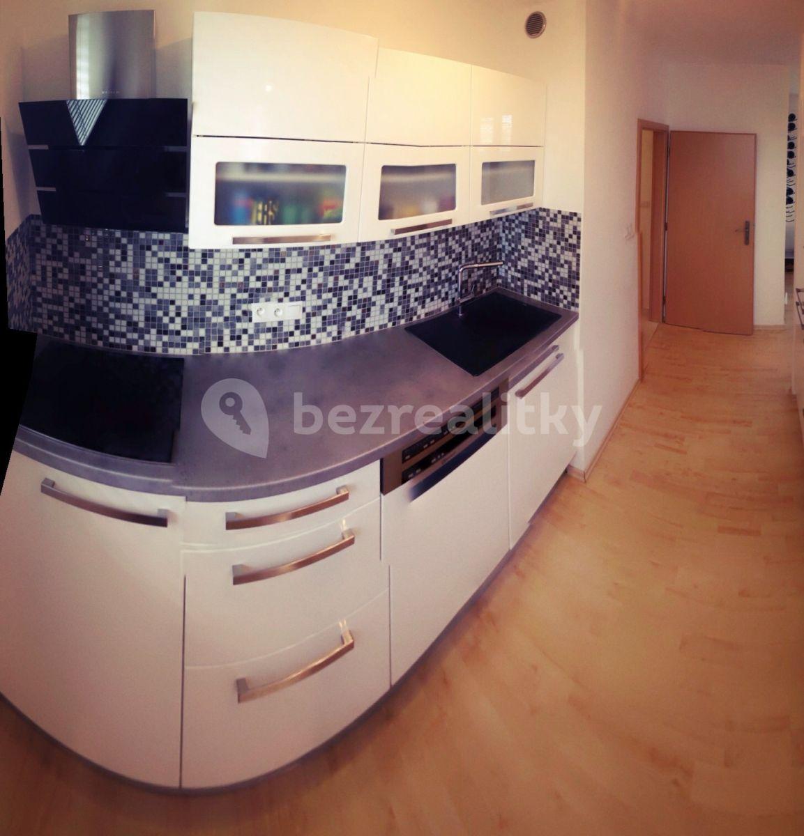 1 bedroom with open-plan kitchen flat to rent, 60 m², Na Slatince, Prague, Prague