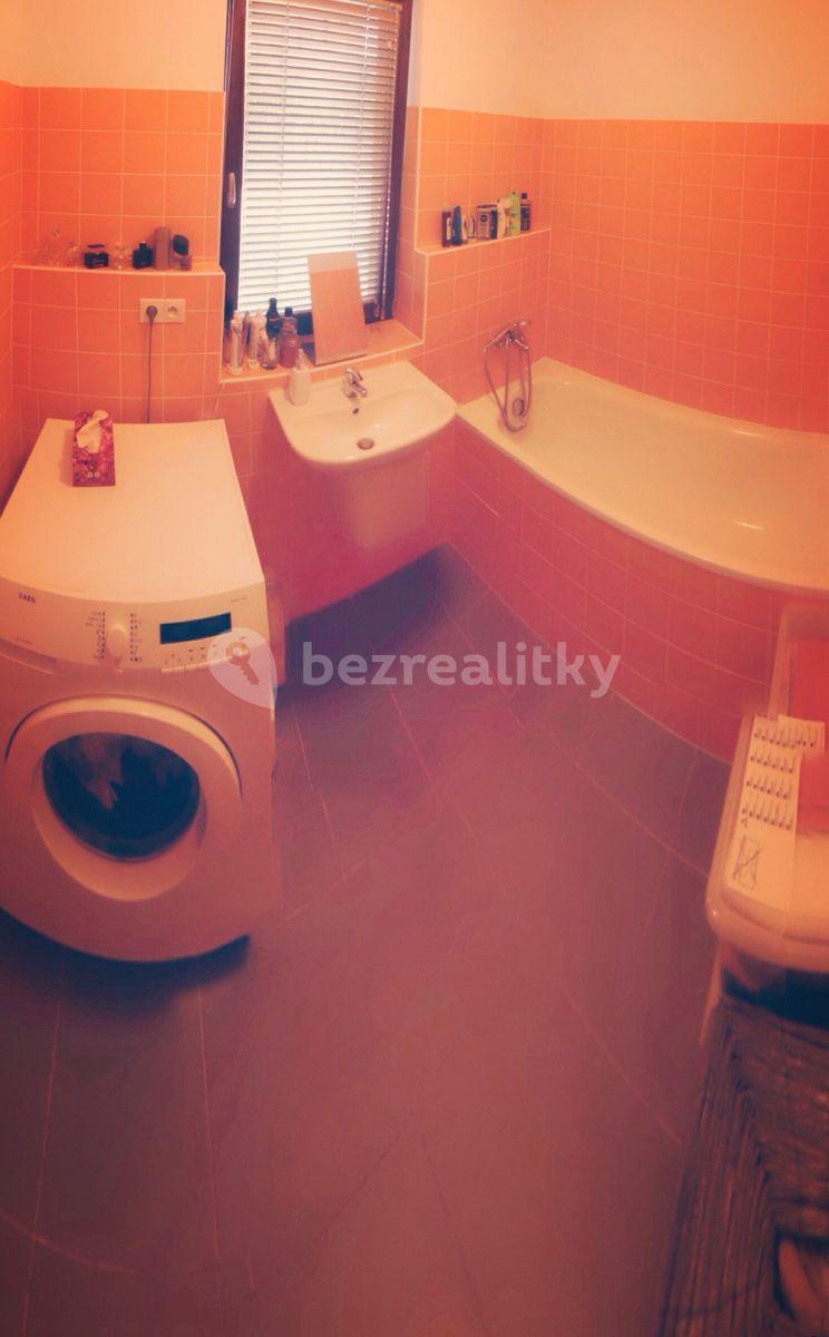 1 bedroom with open-plan kitchen flat to rent, 60 m², Na Slatince, Prague, Prague