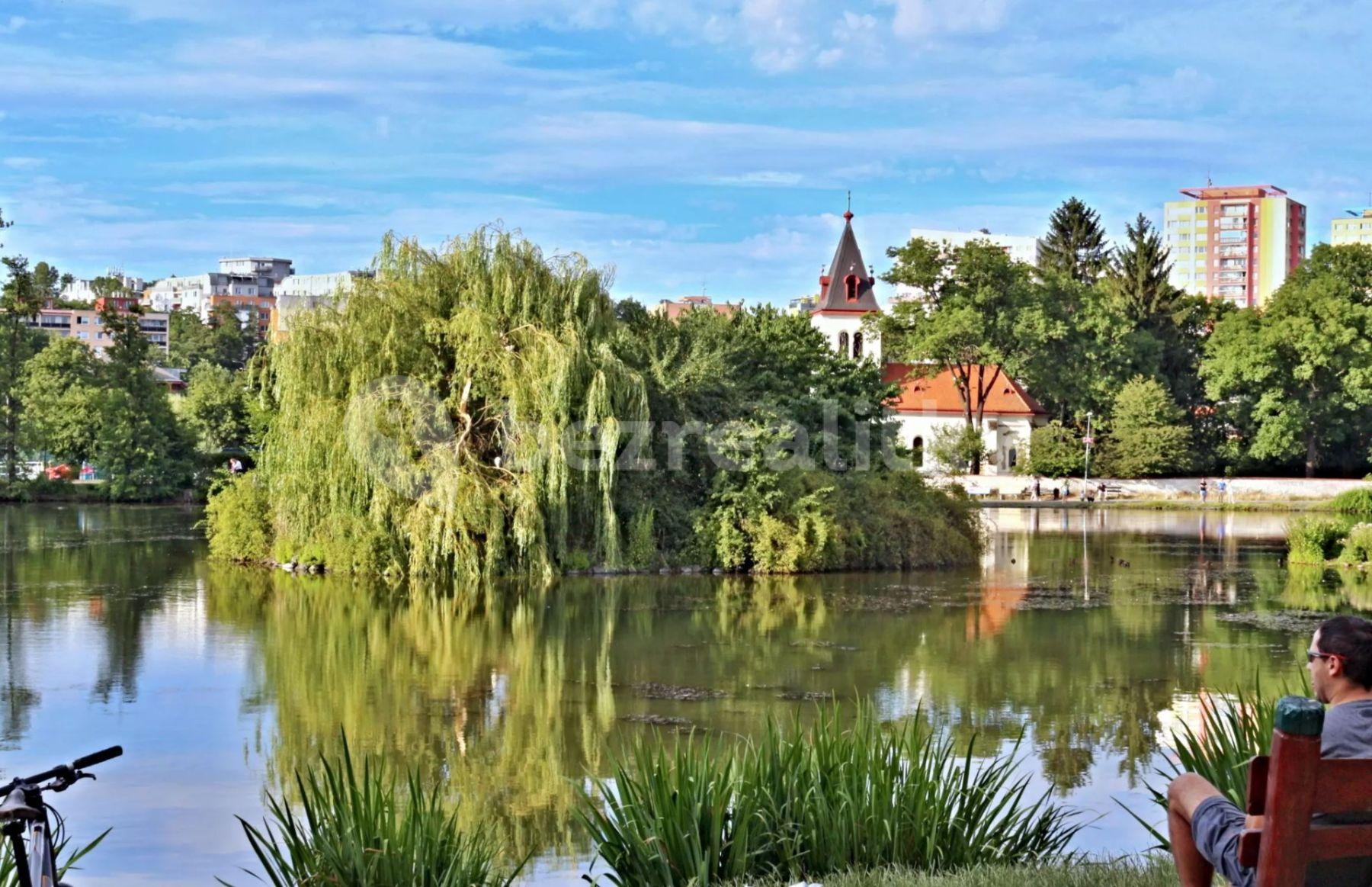 1 bedroom with open-plan kitchen flat to rent, 60 m², Na Slatince, Prague, Prague