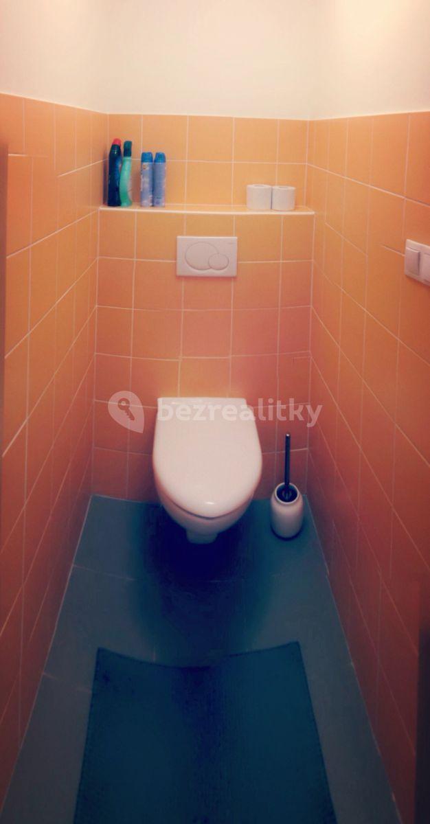 1 bedroom with open-plan kitchen flat to rent, 60 m², Na Slatince, Prague, Prague