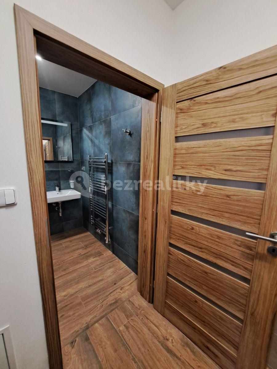 Studio flat to rent, 40 m², Barvířova, Jílové u Prahy, Středočeský Region