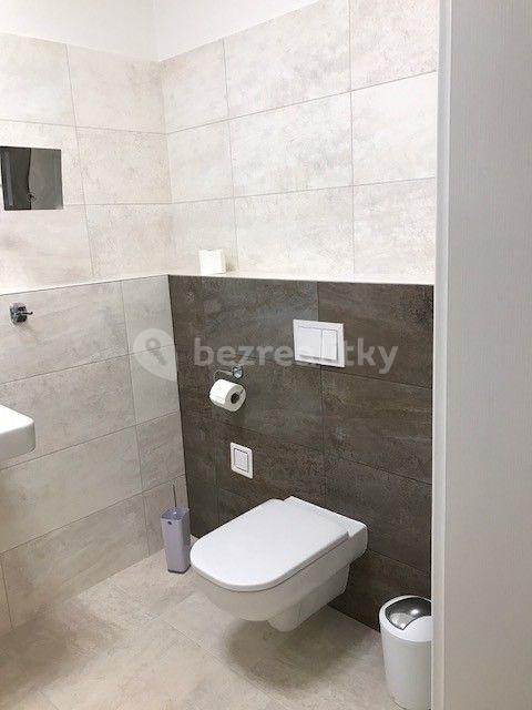 1 bedroom with open-plan kitchen flat to rent, 59 m², U Mlýnského kanálu, Prague, Prague