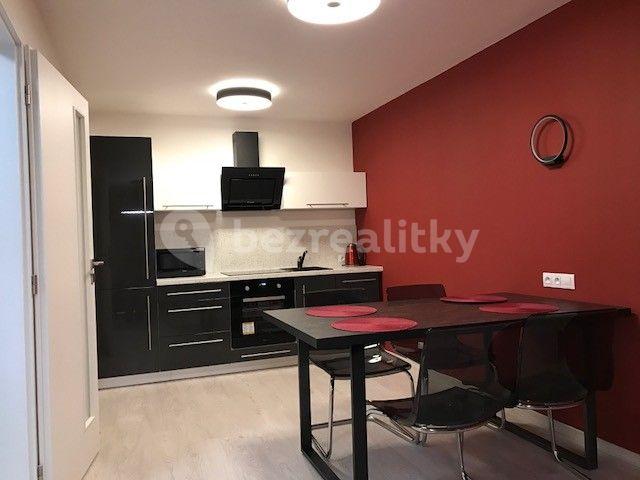 1 bedroom with open-plan kitchen flat to rent, 59 m², U Mlýnského kanálu, Prague, Prague