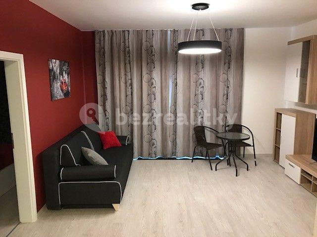 1 bedroom with open-plan kitchen flat to rent, 59 m², U Mlýnského kanálu, Prague, Prague