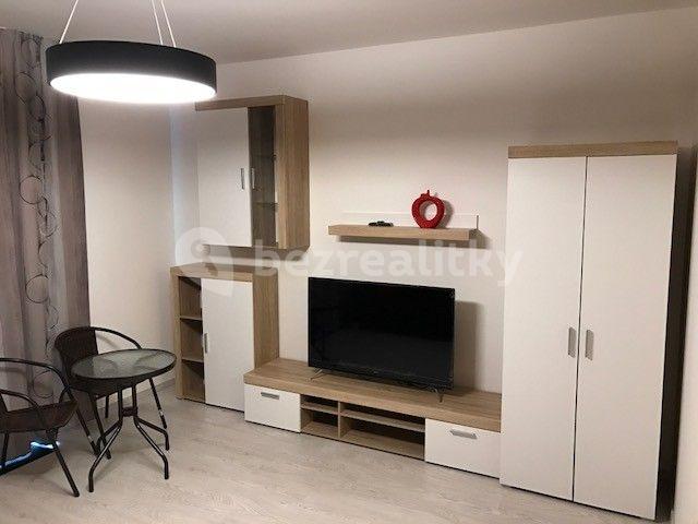 1 bedroom with open-plan kitchen flat to rent, 59 m², U Mlýnského kanálu, Prague, Prague