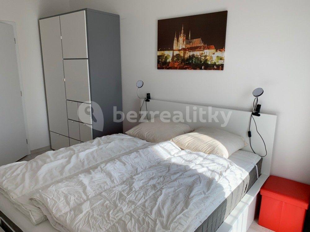 1 bedroom with open-plan kitchen flat to rent, 59 m², U Mlýnského kanálu, Prague, Prague