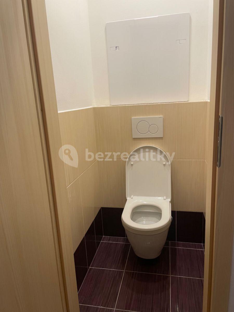 1 bedroom with open-plan kitchen flat to rent, 52 m², Pod Lipami, Nový Jičín, Moravskoslezský Region