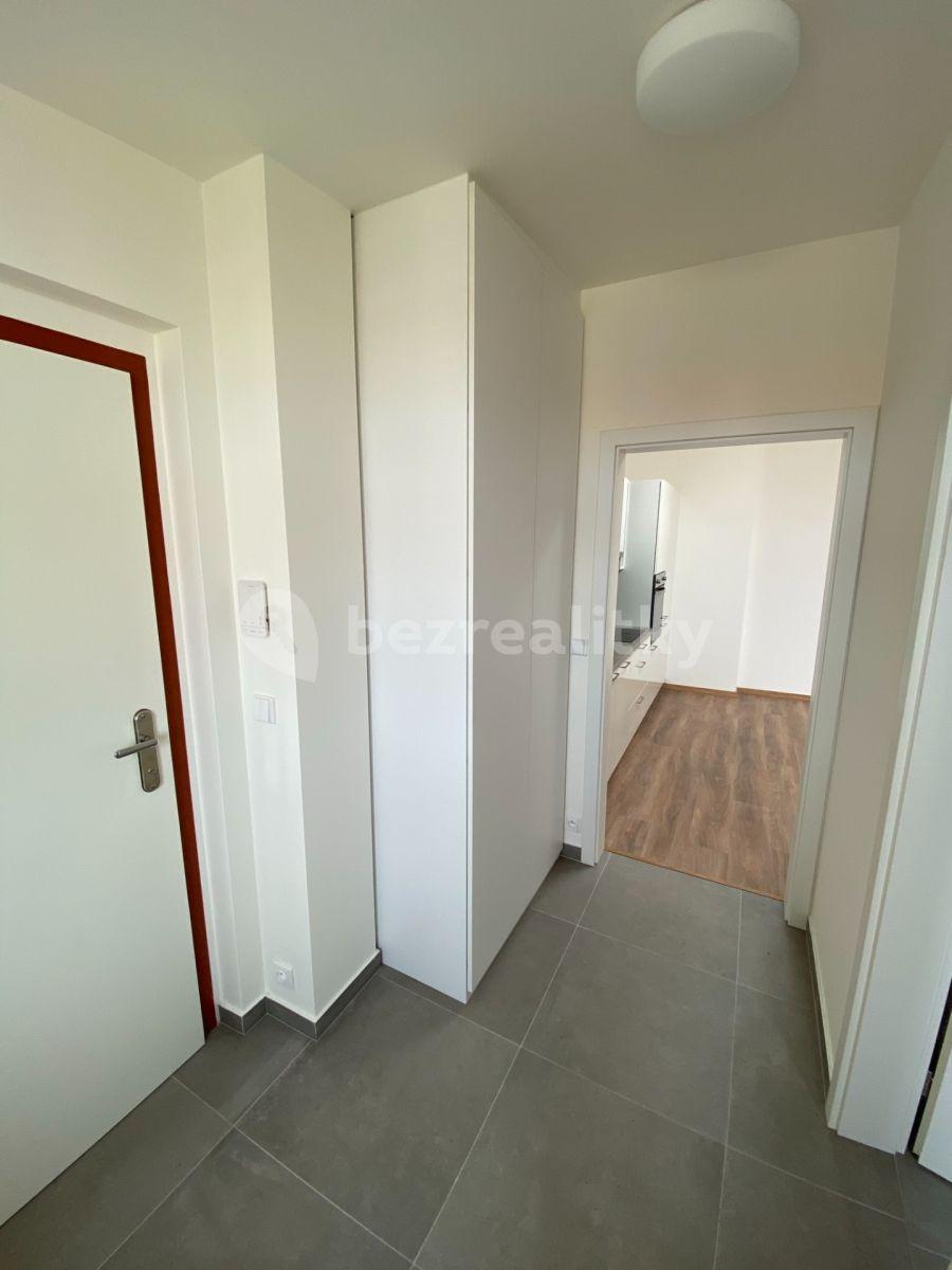 1 bedroom with open-plan kitchen flat to rent, 57 m², Šaldova, Prague, Prague