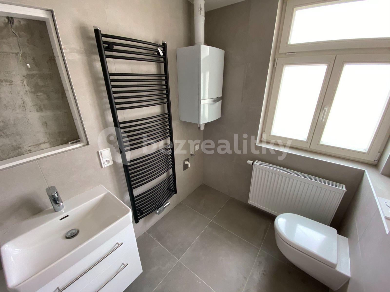 1 bedroom with open-plan kitchen flat to rent, 57 m², Šaldova, Prague, Prague