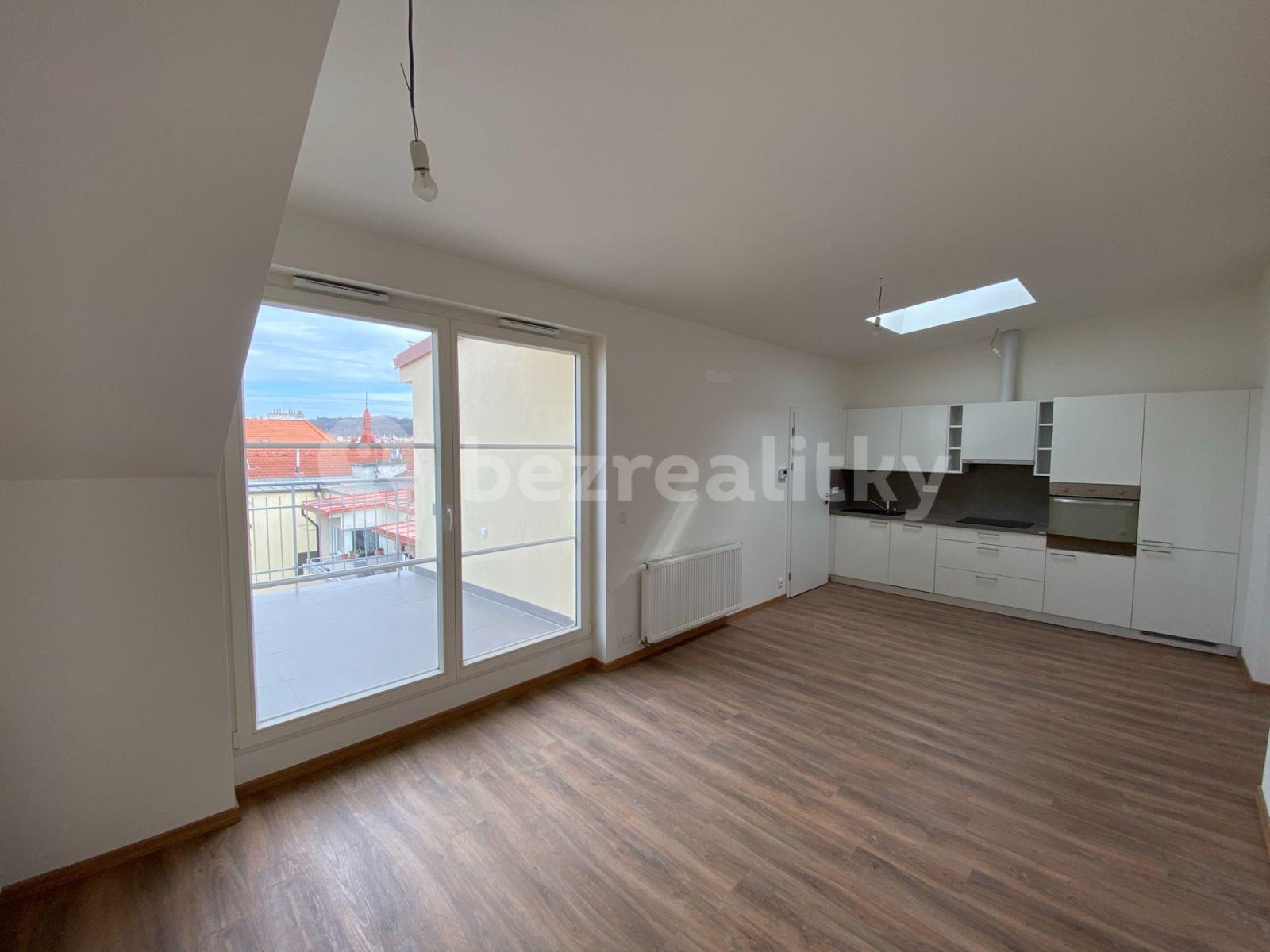 1 bedroom with open-plan kitchen flat to rent, 57 m², Šaldova, Prague, Prague