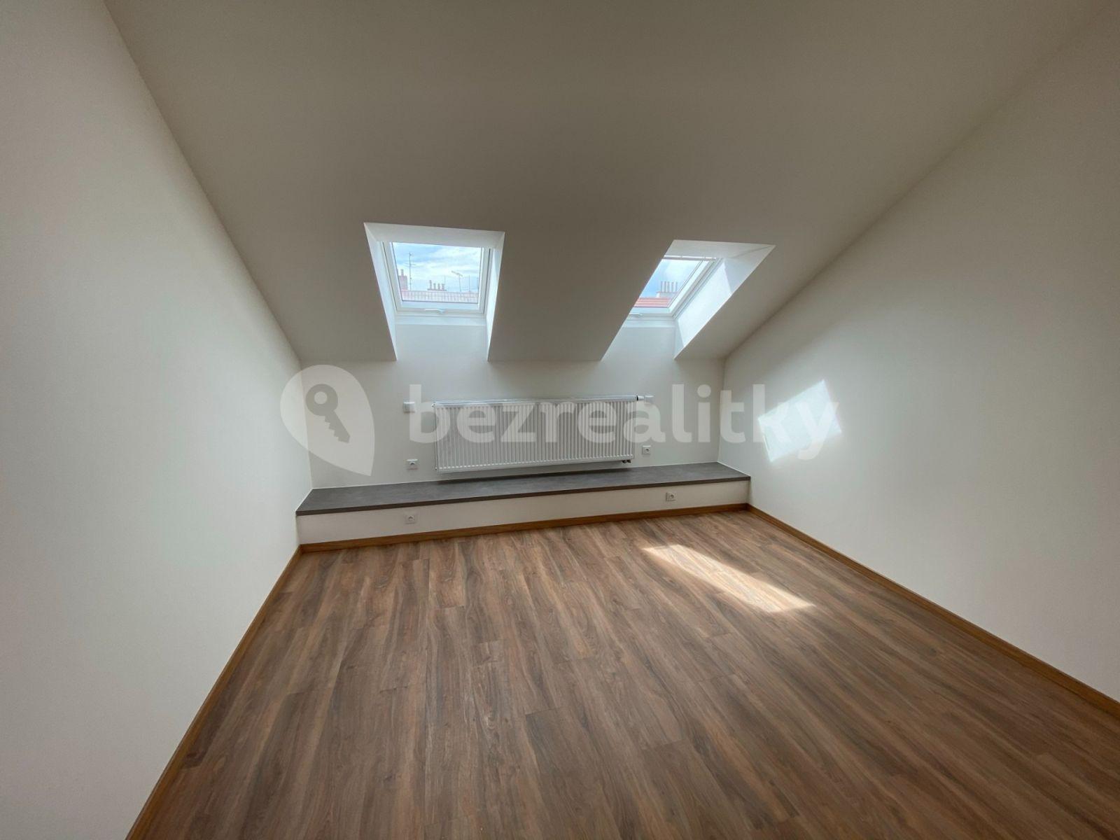 1 bedroom with open-plan kitchen flat to rent, 57 m², Šaldova, Prague, Prague