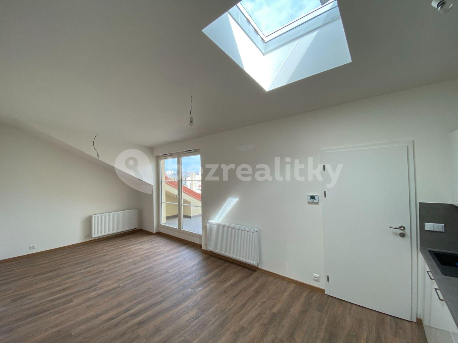 1 bedroom with open-plan kitchen flat to rent, 57 m², Šaldova, Prague, Prague