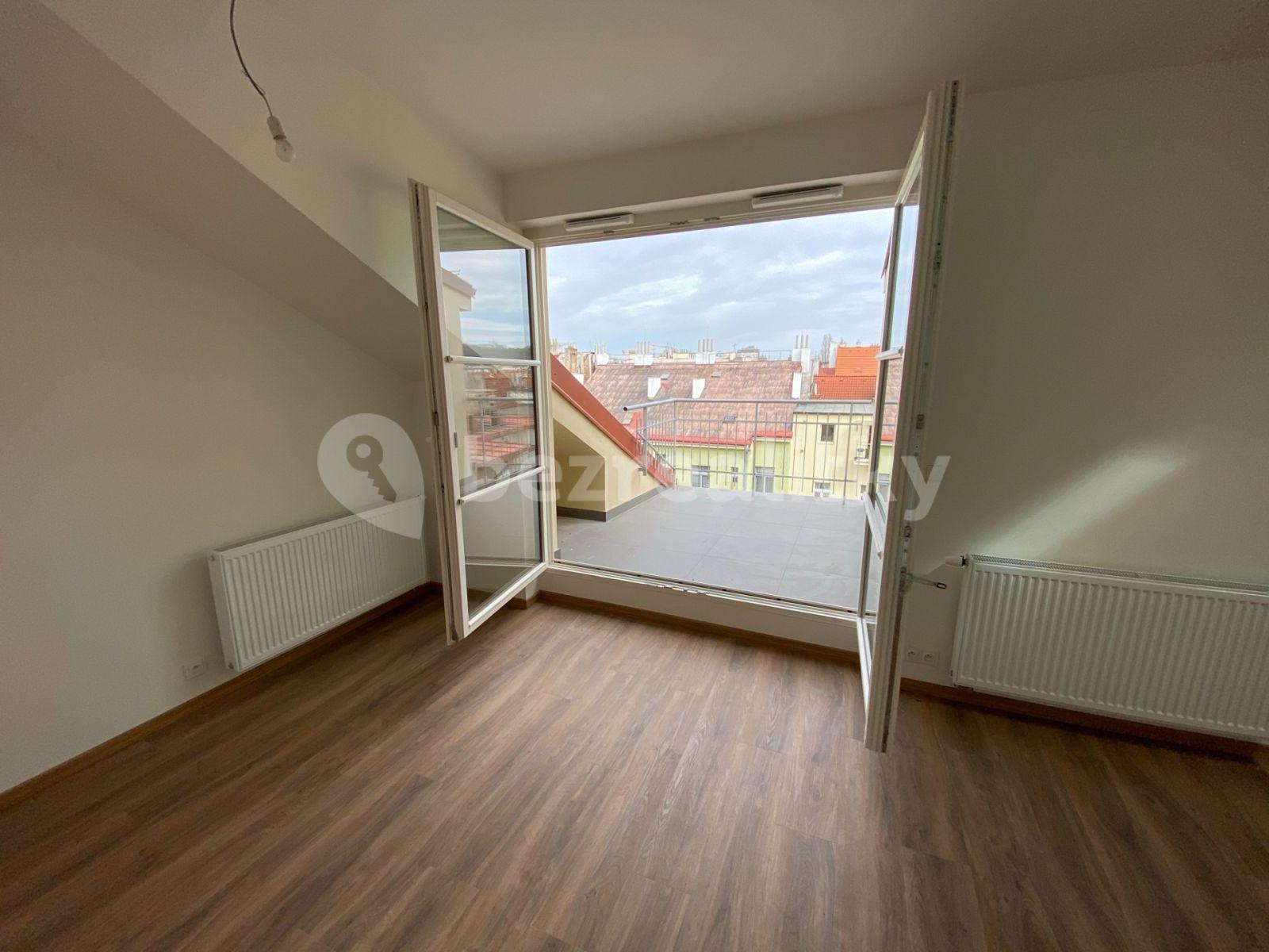 1 bedroom with open-plan kitchen flat to rent, 57 m², Šaldova, Prague, Prague